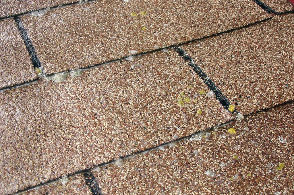 Pictures for Certified Roof Cleaning by Ugly Shingles, LLC in Hartland